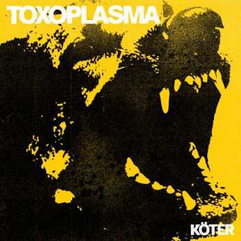 CD Toxoplasma: Köter LTD 316299