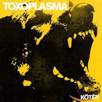 Toxoplasma: Köter