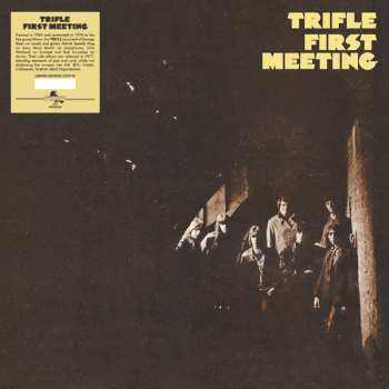 LP Trifle: First Meeting LTD | NUM 539721