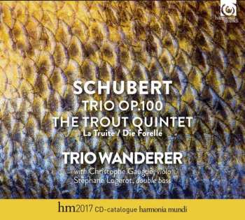 CD Franz Schubert: Piano Trio Klaviertrio Nr. 2 D.929 / Trio D.28 "Sonate" 439947
