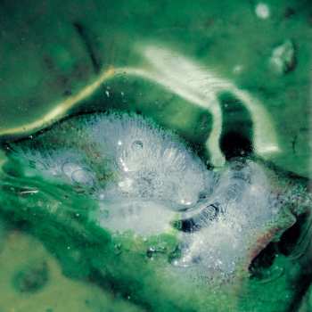 LP Tristan Arp: A Pool, A Portal