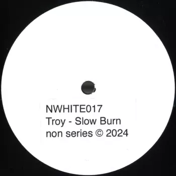 Troy: Slow Burn