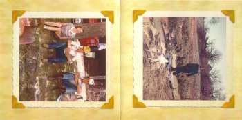 CD Turnpike Troubadours: Goodbye Normal Street