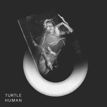 Album Turtle: Human