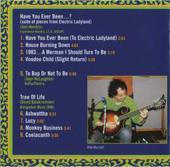 CD Turtle Island String Quartet: Have You Ever Been ...?: The Music Of Jimi Hendrix & The Music Of David Balakrishnan 513707