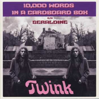 Twink: 10,000 Words In A Cardboard Box / Geraldine