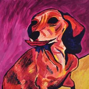 SP Ty Segall: Fanny CLR