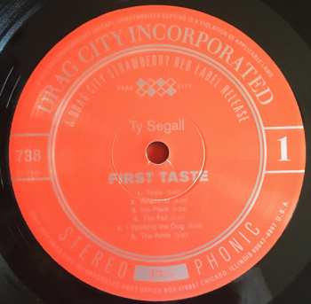 LP Ty Segall: First Taste 89842