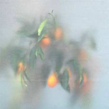 Album µ-Ziq: Secret Garden 