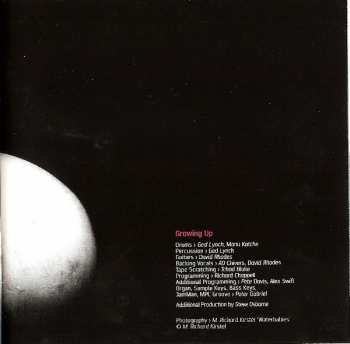 CD Peter Gabriel: Up 38254