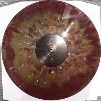 2LP Usnea: Portals Into Futility CLR | LTD