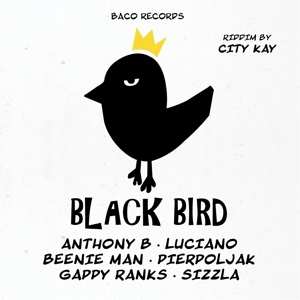 Album Various: Black Bird Riddim By City Kay