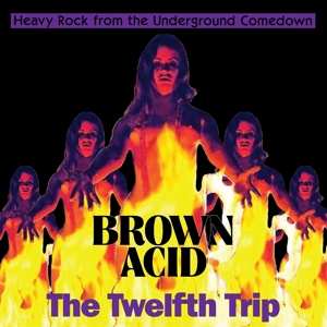 Album Various: Brown Acid: The Twelfth Trip