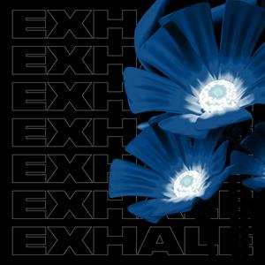 Album V/a: Exhale Va004 (part 1)