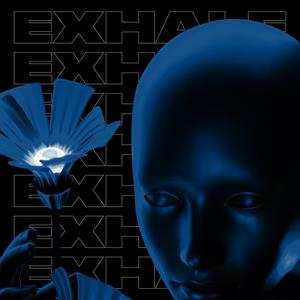 Album Various: Exhale Va004 (part 2)