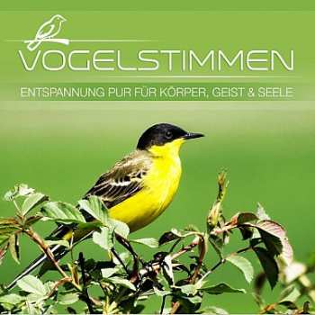 Album Various: Vogelstimmen - Entspannung Fur Korper, Geist Und Seele