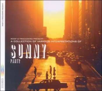 Album Various: A Collection Of Various Interpretations Of Sunny Part 2
