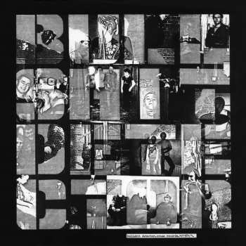 Album Various: Bullshit Detector
