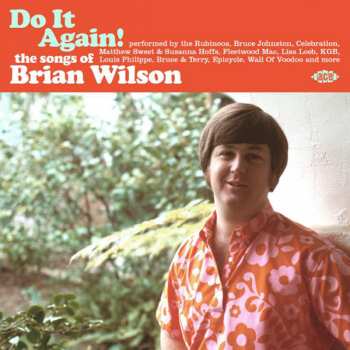 Album Various Artists: Do It Again! The Songs Of Brian Wilson