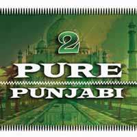 Album Various: Pure Punjabi 2