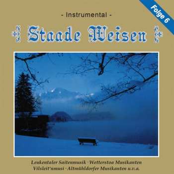 Various: Staade Weisen Folge 6 - Instrumental