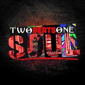 CD Various: Two Beats One Soul 432391