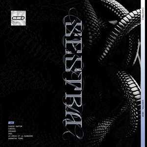 Album Various: Vasstr01 - Vol. 1