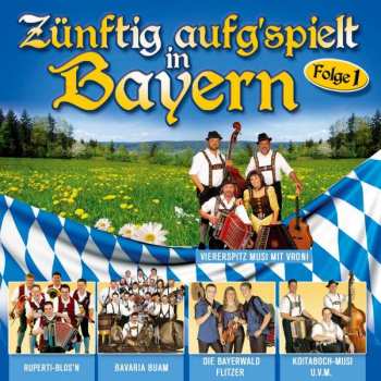 Album Various: Zünftig Aufgspielt In Bayern
