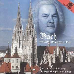 Album Various: Bach Im Regensburger Dom