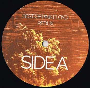 LP Various: Best of Pink Floyd | Redux LTD 251908