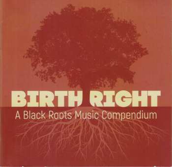 Album Various: Birth Right: A Black Roots Music Compendium