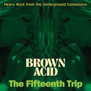 Various: Brown Acid: The Fifteenth Trip (Heavy Rock From The American Comedown Era)