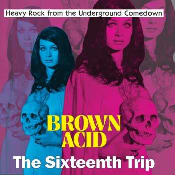 CD Various: Brown Acid: The Sixteenth Trip (Heavy Rock From The Underground Comedown) DIGI 499314