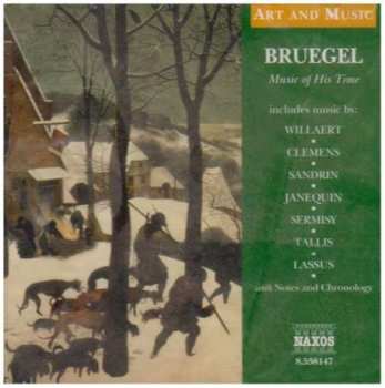 CD Various: Bruegel - Music Of His Time 468817