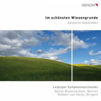 Album Various: Daniel Blumenschein - Im Schönsten Wiesengrunde