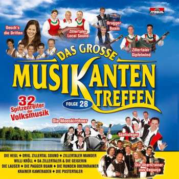 Various: Das Große Musikantentreffen Folge 28