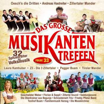 Various: Das Große Musikantentreffen Folge 33