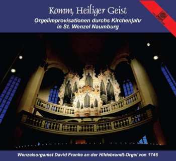 Album Various: David Franke - Komm, Heiliger Geist