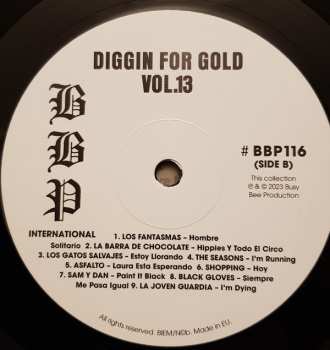 LP Various: Diggin' For Gold Vol 13 (A Collection Of Demented 60' R&B/Punk & Mesmerizing Pop.) LTD 490749