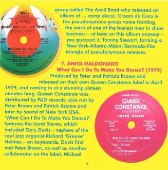 2CD Various: Disco 2 (A Further Fine Selection Of Independent Disco, Modern Soul & Boogie 1976-80) 99705