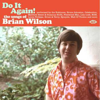 Album Various: Do It Again! The Songs Of Brian Wilson