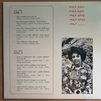 LP Various: Ethiopian Modern Instrumentals Hits 76517