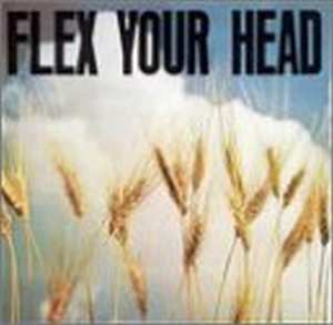 Album Various: Flex Your Head