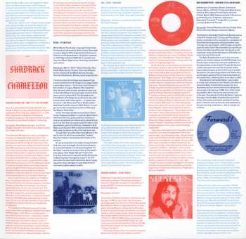 2LP Various: Forge Your Own Chains (Heavy Psychedelic Ballads And Dirges 1968-1974) 428417