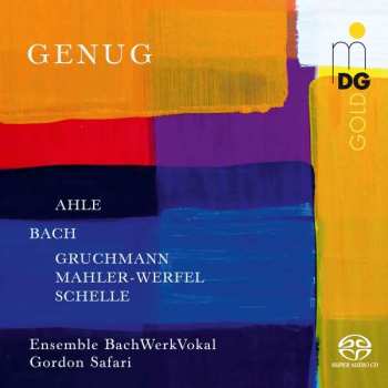 Various: Geistliche & Weltliche Chorwerke "genug"