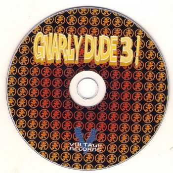 CD Various: Gnarly Dude 3 ! 236216