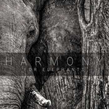 Various: Harmony For Elephants