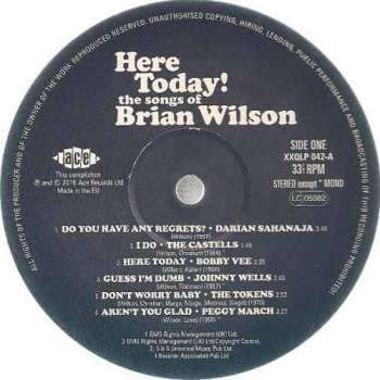 LP Various: Here Today! (The Songs of Brian Wilson) CLR 60959