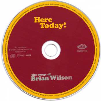 CD Various: Here Today! (The Songs Of Brian Wilson) 249184