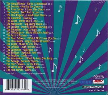 CD Various: Hesitatin' Fool 99013